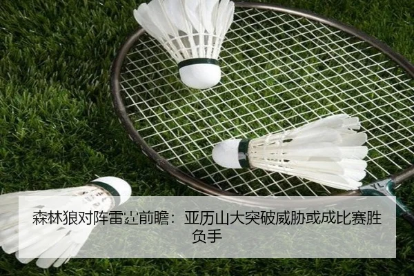 森林狼对阵雷霆前瞻：亚历山大突破威胁或成比赛胜负手（kaiyun）